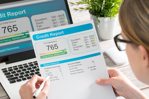 Credit report crif