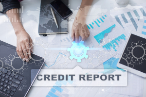 Check company credit report1
