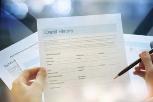 Credit history 1