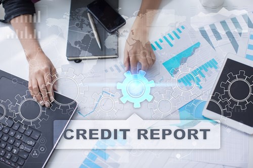 Check company credit report1