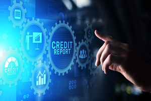 Credit report guide