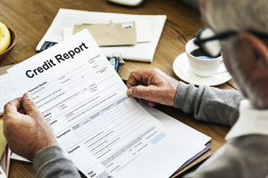 The crif personal credit report sample and reading guide