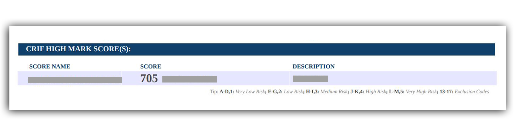 CRIF High Mark Score