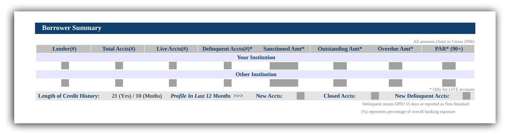 Borrower summary