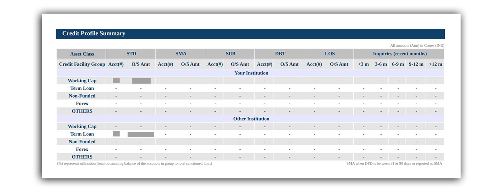 Credit Profile Summary