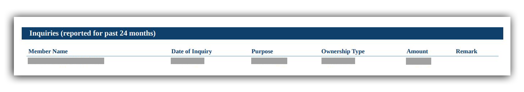 Inquiries Reported in the Last 24 Months