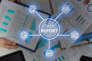 Check company credit report1