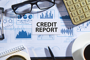 Company credit score 1