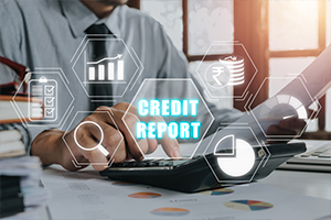 Credit report guide