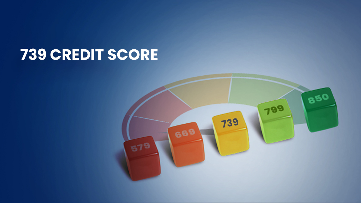 739 Credit Score