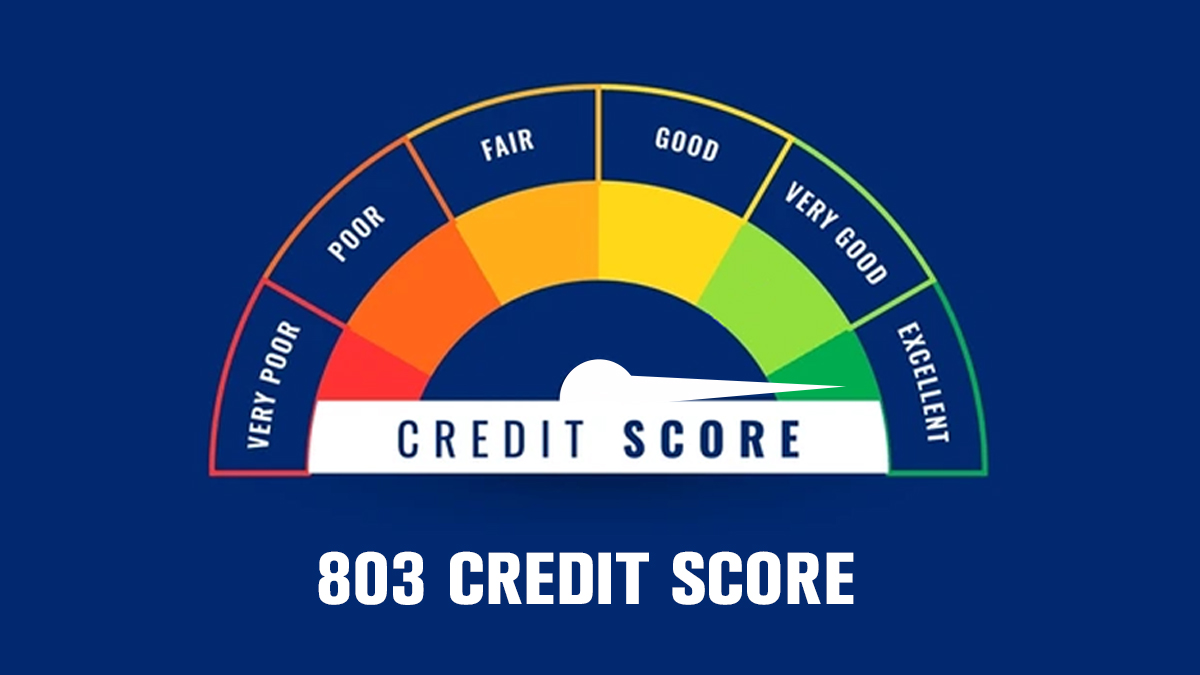 803 Credit Score