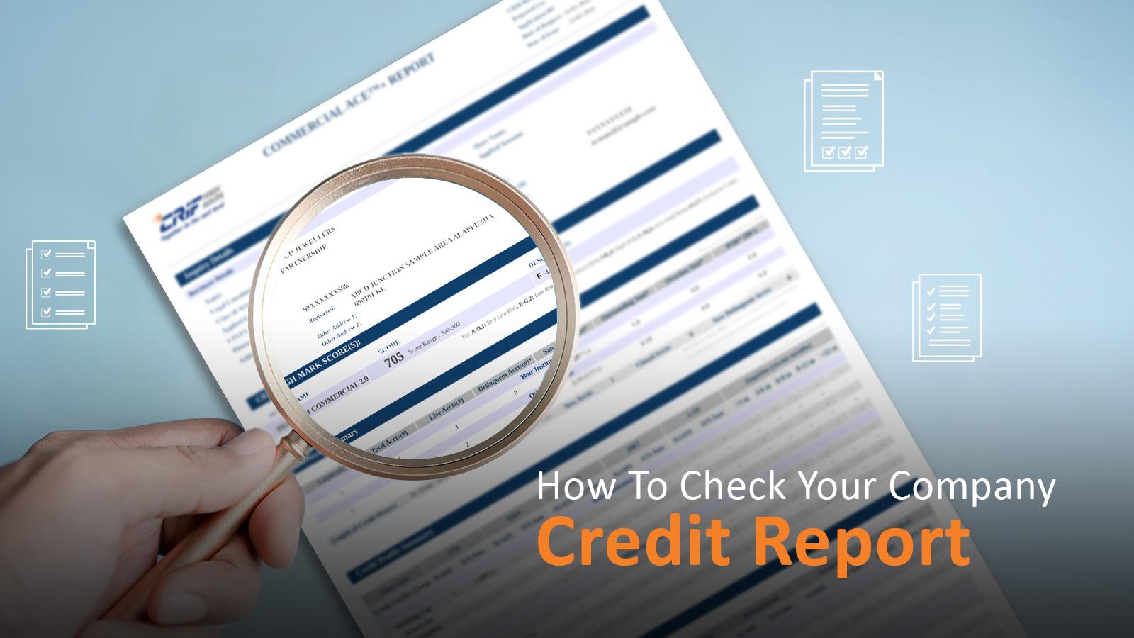 Check company credit report1