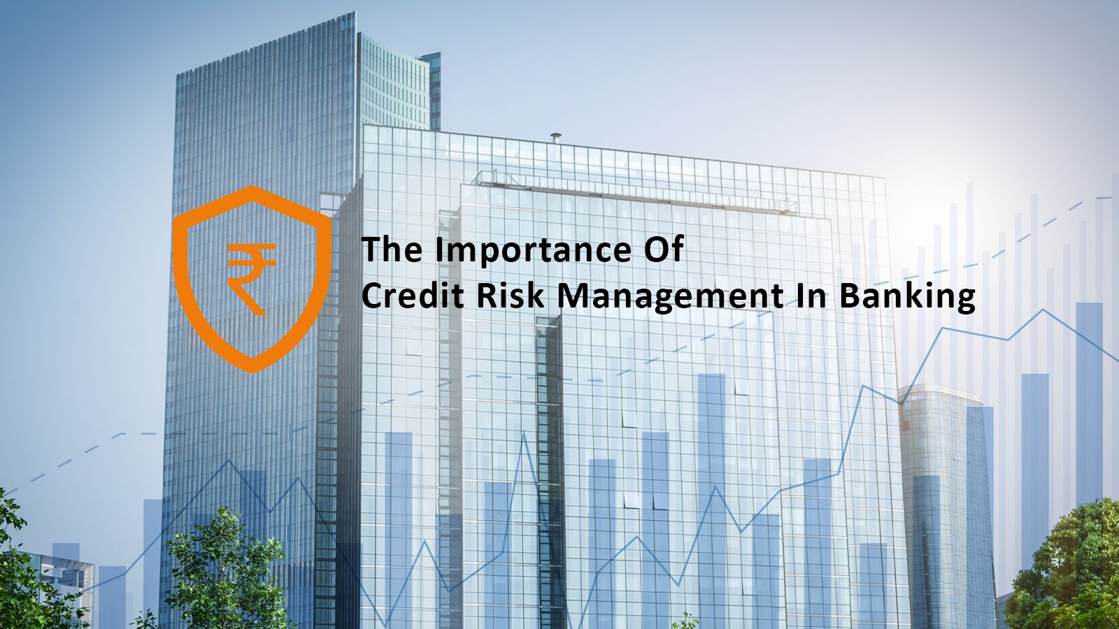 The Importance of Credit Risk Management in Banking