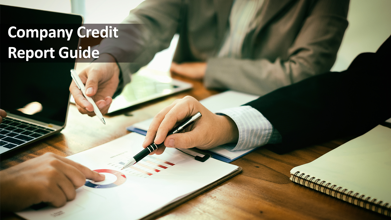 Company Credit Report Guide