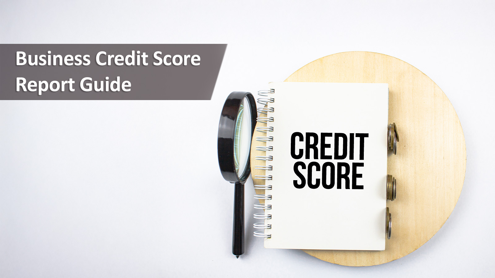 Company Credit Score 1