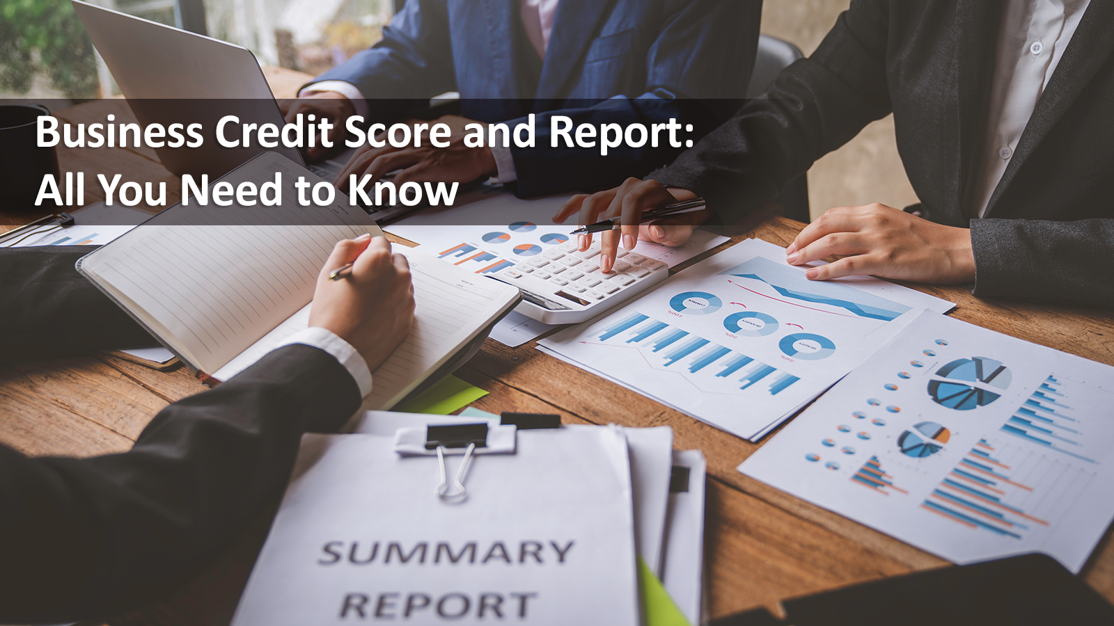 Company Credit Score 1