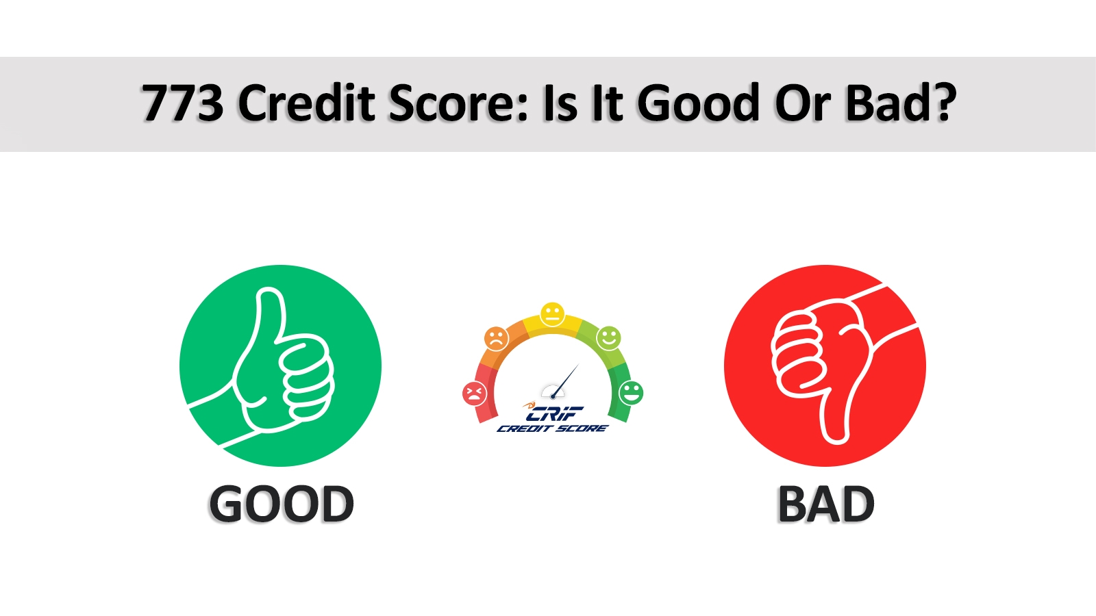 773 Credit Score